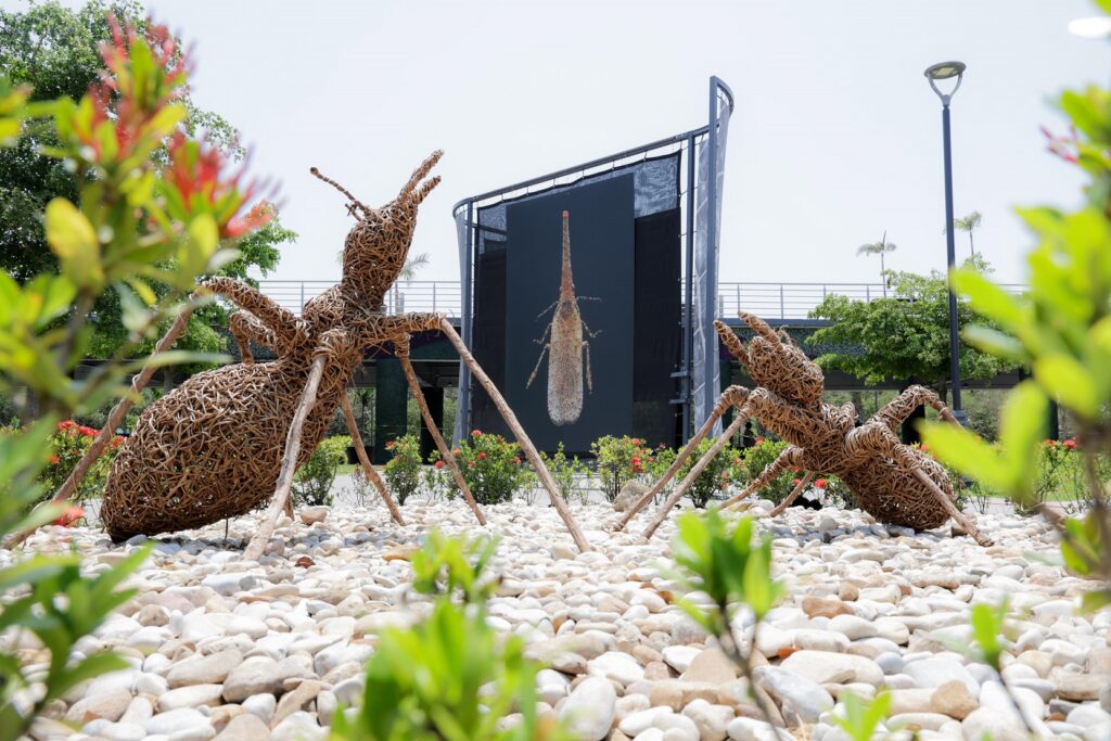 25 may Z 1 Inaugura Mónica Villarreal la exposición Insectus